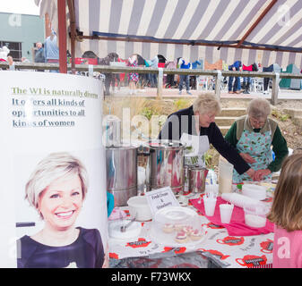 Women`s Institute stall selling cakes, scones, and tea at Festival of Thrift. UK Stock Photo